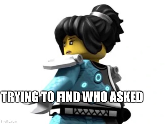 Ninjago Trying to find who asked | TRYING TO FIND WHO ASKED | image tagged in ninjago,funny memes,memes | made w/ Imgflip meme maker