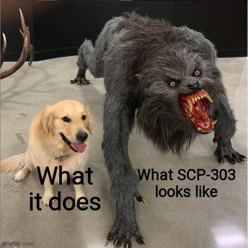 SCP-303 looks terrifying | What it does; What SCP-303 looks like | image tagged in dog vs werewolf | made w/ Imgflip meme maker