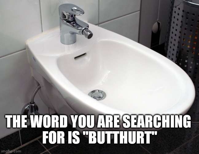 Happy Bidet | THE WORD YOU ARE SEARCHING 
FOR IS "BUTTHURT" | image tagged in happy bidet | made w/ Imgflip meme maker