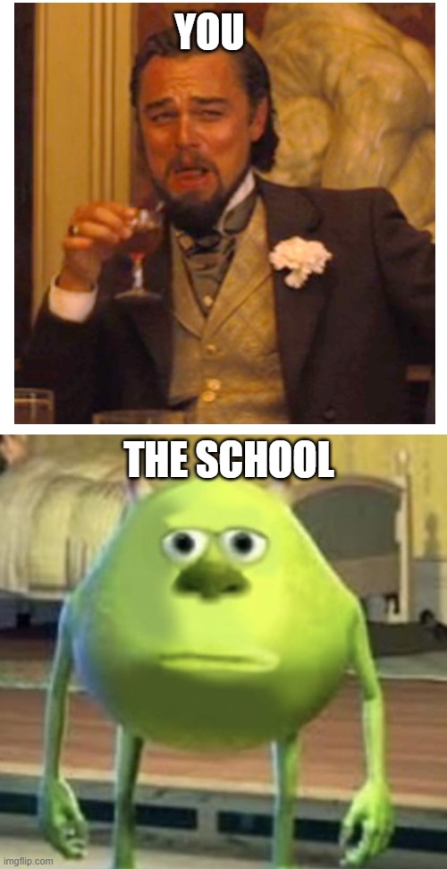 sully wazowski | THE SCHOOL YOU | image tagged in sully wazowski | made w/ Imgflip meme maker