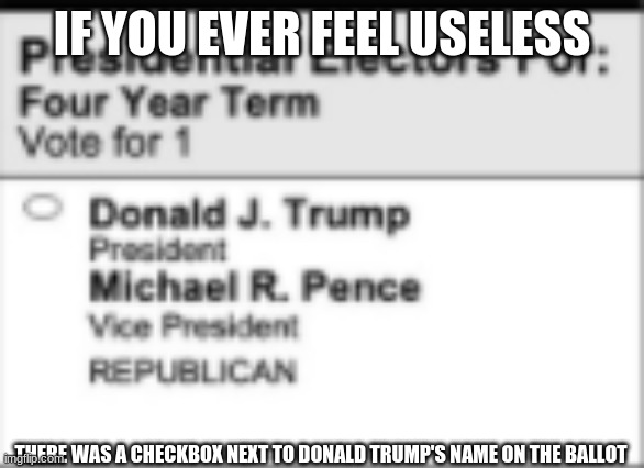 anyways, it was useless since biden won | IF YOU EVER FEEL USELESS; THERE WAS A CHECKBOX NEXT TO DONALD TRUMP'S NAME ON THE BALLOT | image tagged in trump,donald trump is an idiot,democrats | made w/ Imgflip meme maker