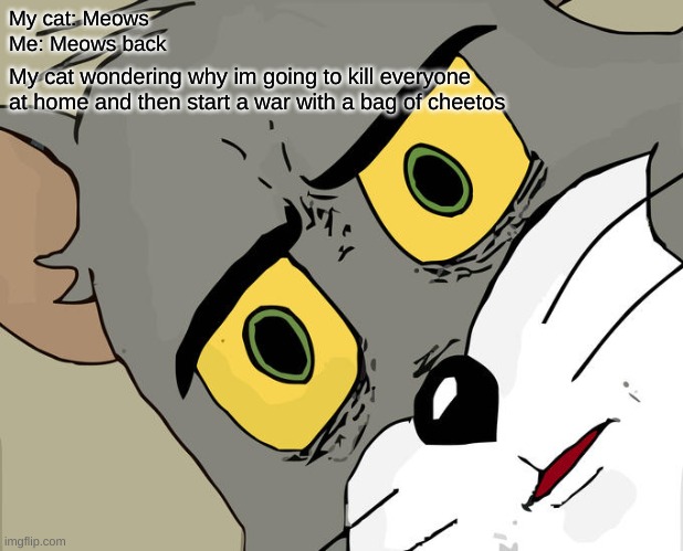 Unsettled Tom Meme | My cat: Meows
Me: Meows back; My cat wondering why im going to kill everyone at home and then start a war with a bag of cheetos | image tagged in memes,unsettled tom | made w/ Imgflip meme maker