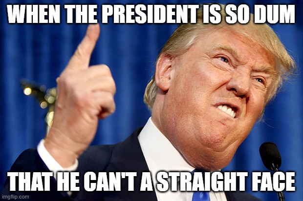 Donald Trump | WHEN THE PRESIDENT IS SO DUM; THAT HE CAN'T A STRAIGHT FACE | image tagged in donald trump | made w/ Imgflip meme maker