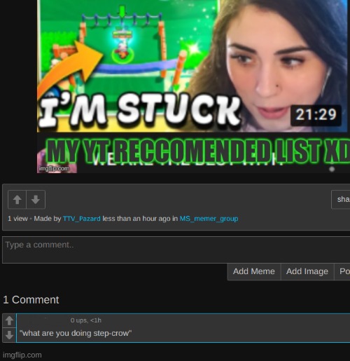 made w/ Imgflip meme maker