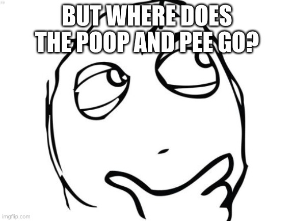 Question Rage Face Meme | BUT WHERE DOES THE POOP AND PEE GO? | image tagged in memes,question rage face | made w/ Imgflip meme maker