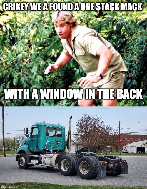 CRIKEY WE A FOUND A ONE STACK MACK; WITH A WINDOW IN THE BACK | image tagged in crocodile hunter steve irwin | made w/ Imgflip meme maker