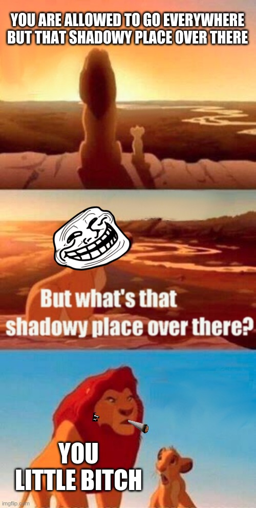 Simba Shadowy Place Meme | YOU ARE ALLOWED TO GO EVERYWHERE BUT THAT SHADOWY PLACE OVER THERE; YOU LITTLE BITCH | image tagged in memes,simba shadowy place | made w/ Imgflip meme maker