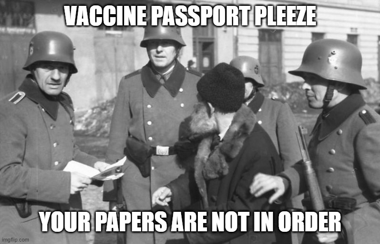 Papers Please | VACCINE PASSPORT PLEEZE; YOUR PAPERS ARE NOT IN ORDER | image tagged in covid-19,passport | made w/ Imgflip meme maker