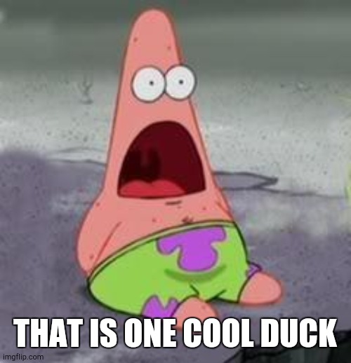 Suprised Patrick | THAT IS ONE COOL DUCK | image tagged in suprised patrick | made w/ Imgflip meme maker