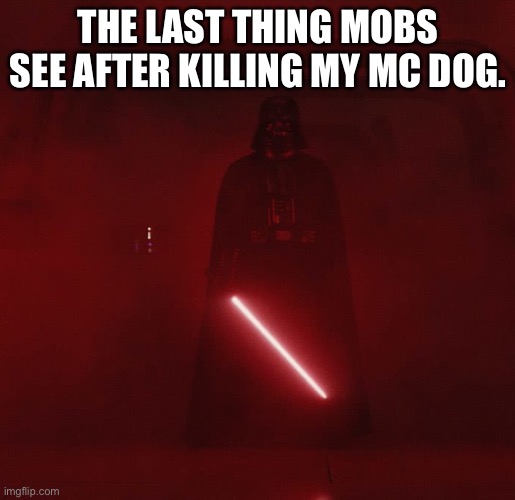 vader |  THE LAST THING MOBS SEE AFTER KILLING MY MC DOG. | image tagged in vader | made w/ Imgflip meme maker