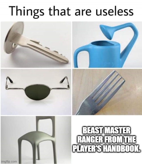 Beast Master Ranger | BEAST MASTER RANGER FROM THE PLAYER'S HANDBOOK. | image tagged in things that are useless,dungeons and dragons | made w/ Imgflip meme maker