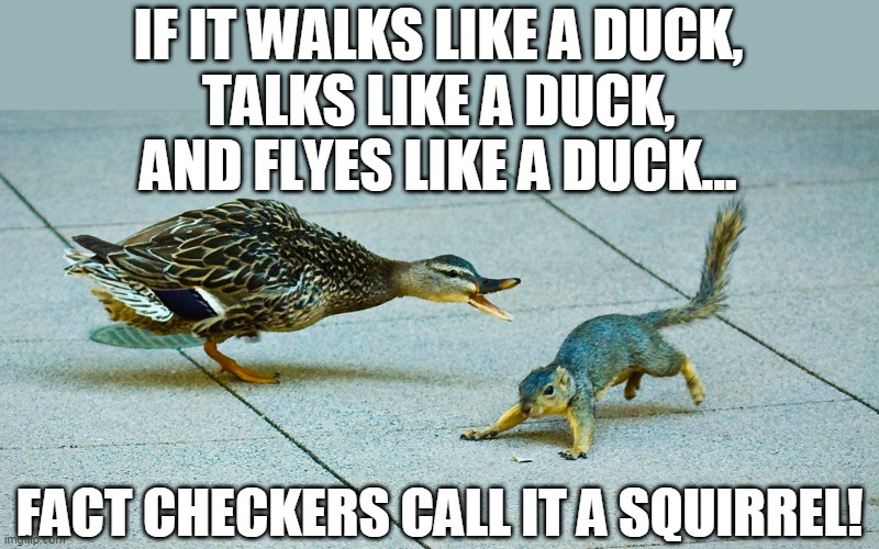 Fact Checkers |  IF IT WALKS LIKE A DUCK,
TALKS LIKE A DUCK,
AND FLYES LIKE A DUCK... FACT CHECKERS CALL IT A SQUIRREL! | image tagged in fact checkers lie,fact checkers are globalists' whores,fact checkrs ara commie scum,fact checkers are left wing propagandists | made w/ Imgflip meme maker