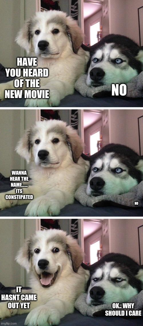 Bad pun dogs | HAVE YOU HEARD OF THE NEW MOVIE; NO; WANNA HEAR THE NAME...... ITS CONSTIPATED; NO; IT HASNT CAME OUT YET; OK.. WHY SHOULD I CARE | image tagged in bad pun dogs | made w/ Imgflip meme maker