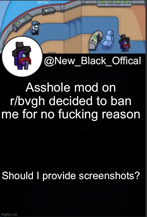 I got Permaban from r/bvgh | Asshole mod on r/bvgh decided to ban me for no fucking reason; Should I provide screenshots? | image tagged in my template | made w/ Imgflip meme maker