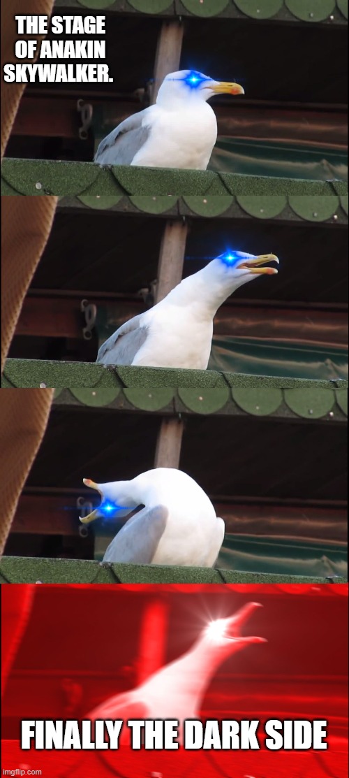 Inhaling Seagull Meme | THE STAGE OF ANAKIN SKYWALKER. FINALLY THE DARK SIDE | image tagged in memes,inhaling seagull | made w/ Imgflip meme maker