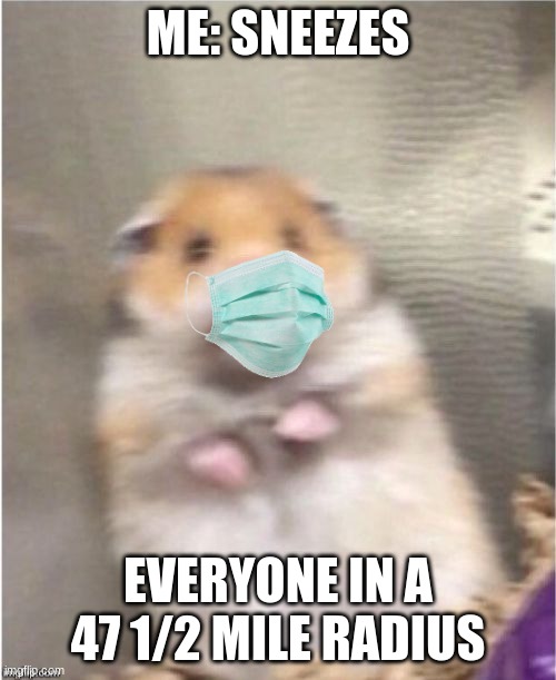 Scared Hamster | ME: SNEEZES; EVERYONE IN A 47 1/2 MILE RADIUS | image tagged in scared hamster | made w/ Imgflip meme maker