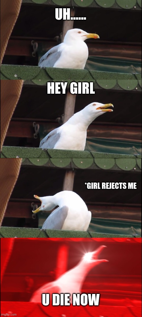 Inhaling Seagull | UH...... HEY GIRL; *GIRL REJECTS ME; U DIE NOW | image tagged in memes,inhaling seagull | made w/ Imgflip meme maker