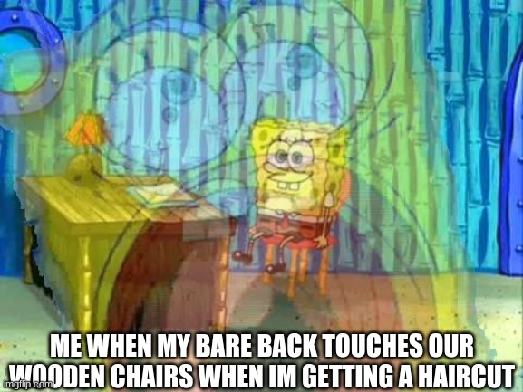 its really cold | ME WHEN MY BARE BACK TOUCHES OUR WOODEN CHAIRS WHEN IM GETTING A HAIRCUT | image tagged in fun,funny,internal screaming | made w/ Imgflip meme maker