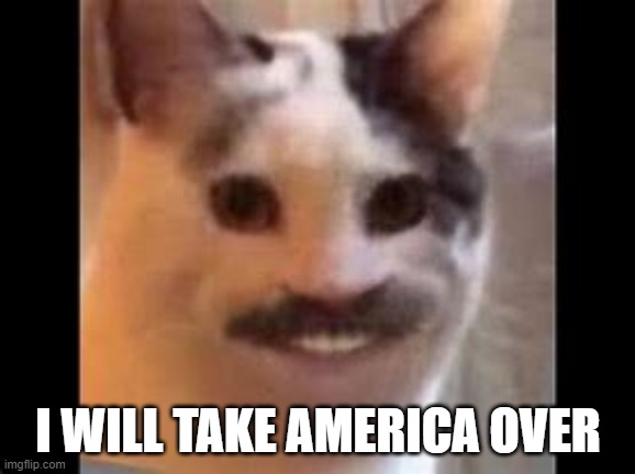 hitler cat | I WILL TAKE AMERICA OVER | image tagged in hitler cat | made w/ Imgflip meme maker