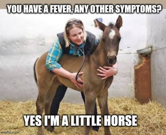 Hoarse Horse | image tagged in vet,horse,funny memes | made w/ Imgflip meme maker