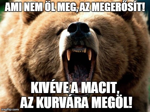 AMI NEM Ã–L MEG, AZ MEGERÅSÃT! KIVÃ‰VE A MACIT, AZ KURVÃRA MEGÃ–L! | image tagged in maci | made w/ Imgflip meme maker