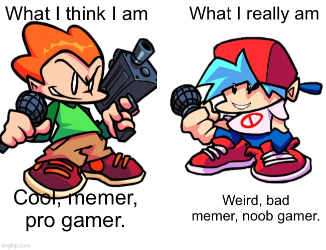 Fnf | What I think I am; What I really am; Cool, memer, pro gamer. Weird, bad memer, noob gamer. | image tagged in memes,buff doge vs cheems,fnf | made w/ Imgflip meme maker