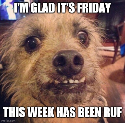 Friday | I'M GLAD IT'S FRIDAY; THIS WEEK HAS BEEN RUF | image tagged in it's friday | made w/ Imgflip meme maker