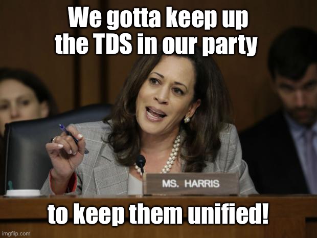 Kamala Harris | We gotta keep up the TDS in our party to keep them unified! | image tagged in kamala harris | made w/ Imgflip meme maker