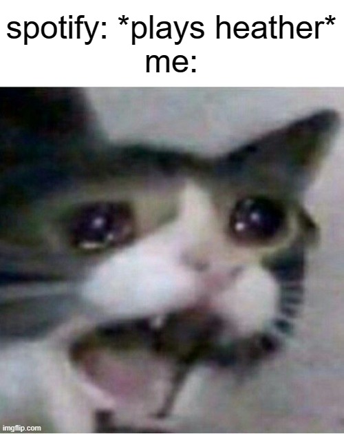 totally not happening rn- | spotify: *plays heather*
me: | image tagged in crying cat | made w/ Imgflip meme maker