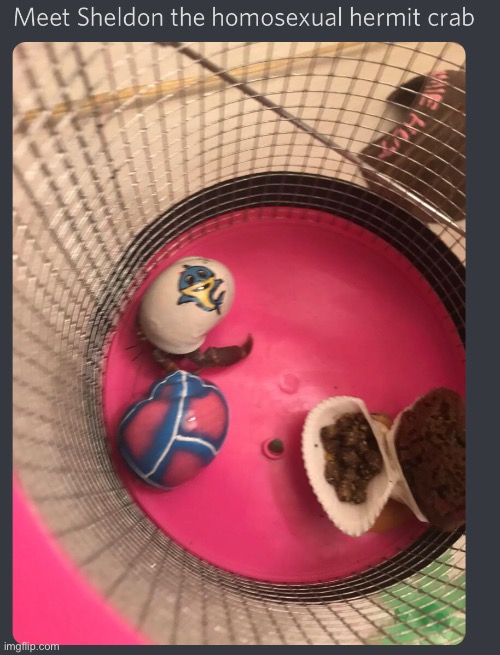 . | made w/ Imgflip meme maker