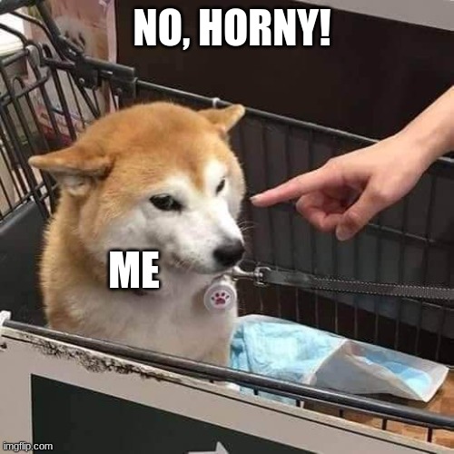 No horny | ME NO, HORNY! | image tagged in no horny | made w/ Imgflip meme maker