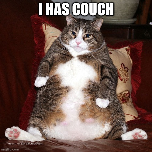 I has couch | I HAS COUCH | image tagged in fat cat | made w/ Imgflip meme maker