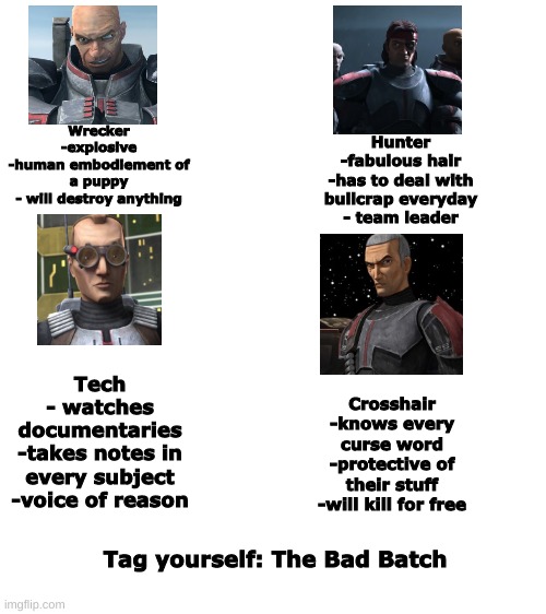 Blank White Template | Wrecker
-explosive
-human embodiement of a puppy
- will destroy anything; Hunter
-fabulous hair
-has to deal with bullcrap everyday
- team leader; Tech
- watches documentaries
-takes notes in every subject
-voice of reason; Crosshair
-knows every curse word
-protective of their stuff
-will kill for free; Tag yourself: The Bad Batch | image tagged in blank white template | made w/ Imgflip meme maker