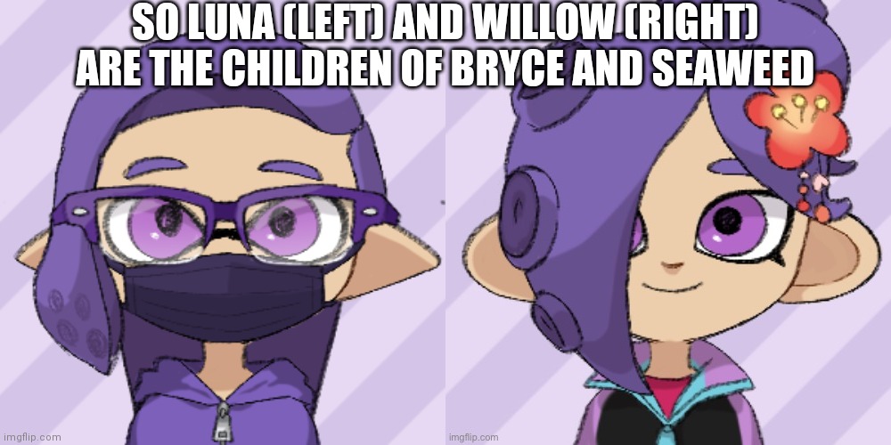 The oc bryce btw | SO LUNA (LEFT) AND WILLOW (RIGHT) ARE THE CHILDREN OF BRYCE AND SEAWEED | image tagged in luna | made w/ Imgflip meme maker