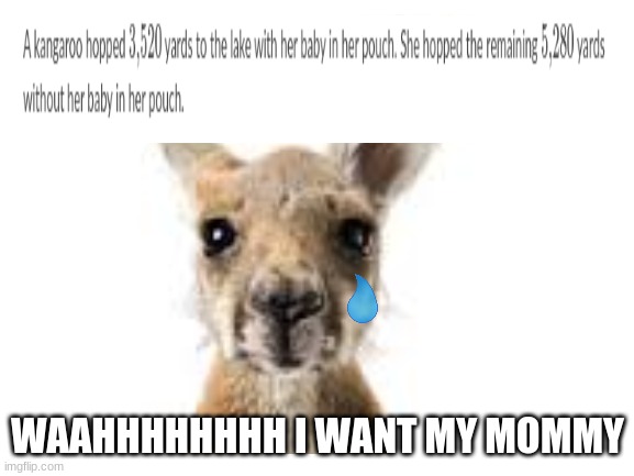 I actually got this question | WAAHHHHHHHH I WANT MY MOMMY | image tagged in question,funny | made w/ Imgflip meme maker