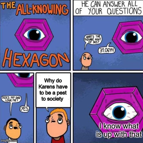All knowing hexagon (ORIGINAL) | Why do Karens have to be a pest to society; I know what is up with that | image tagged in all knowing hexagon original | made w/ Imgflip meme maker