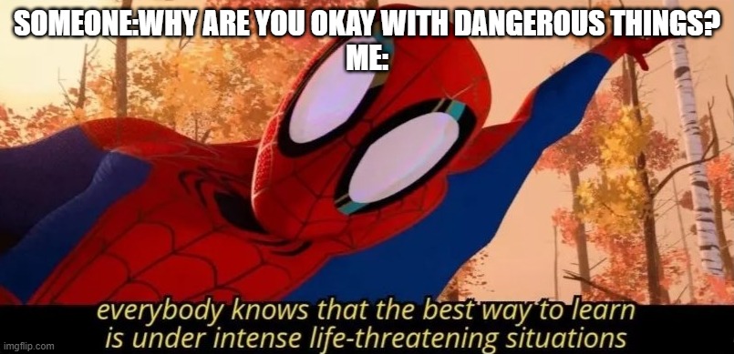 intense life threatening situations | SOMEONE:WHY ARE YOU OKAY WITH DANGEROUS THINGS?
ME: | image tagged in intense life threatening situations | made w/ Imgflip meme maker