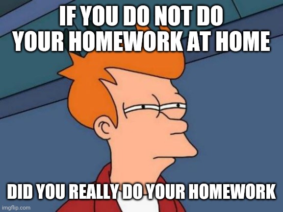 Futurama Fry Meme | IF YOU DO NOT DO YOUR HOMEWORK AT HOME; DID YOU REALLY DO YOUR HOMEWORK | image tagged in memes,futurama fry | made w/ Imgflip meme maker
