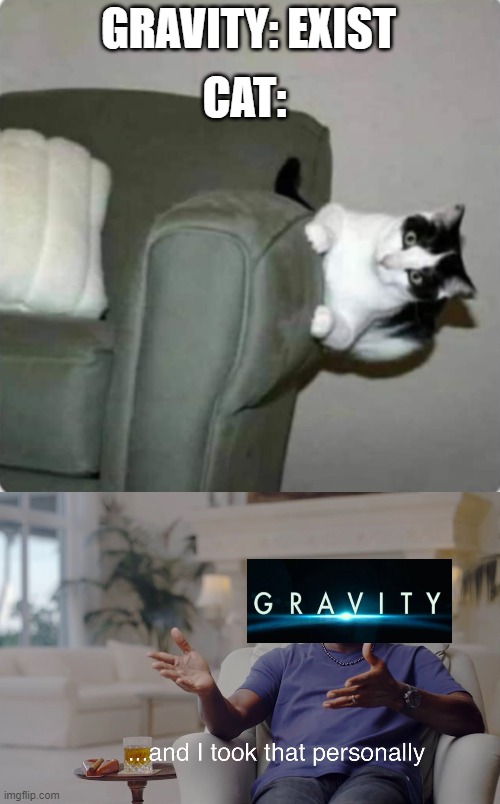 CAT:; GRAVITY: EXIST | image tagged in and i took that personally | made w/ Imgflip meme maker