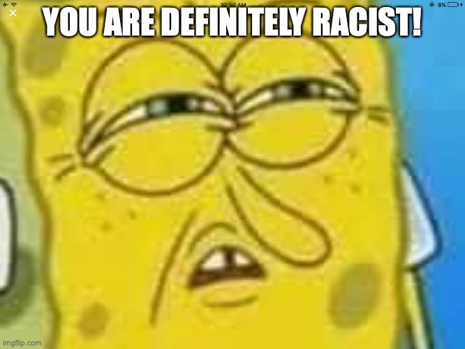 SpongeBob Angry and Confused | YOU ARE DEFINITELY RACIST! | image tagged in spongebob angry and confused | made w/ Imgflip meme maker