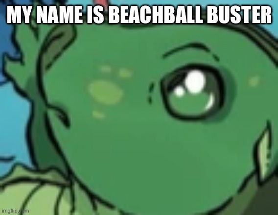 What | MY NAME IS BEACHBALL BUSTER | made w/ Imgflip meme maker