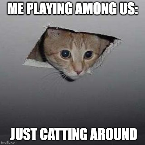 among us cat | ME PLAYING AMONG US:; JUST CATTING AROUND | image tagged in memes,ceiling cat | made w/ Imgflip meme maker