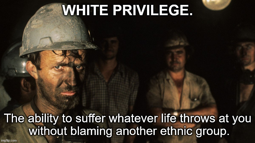 White Privilege | WHITE PRIVILEGE. The ability to suffer whatever life throws at you
 without blaming another ethnic group. | image tagged in meme mining is hard work,white privilege,not blaming anothe ethnic group | made w/ Imgflip meme maker