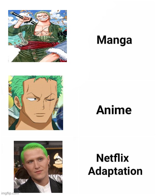 funny meme | image tagged in manga anime netflix adaption,zoro,one piece meme | made w/ Imgflip meme maker