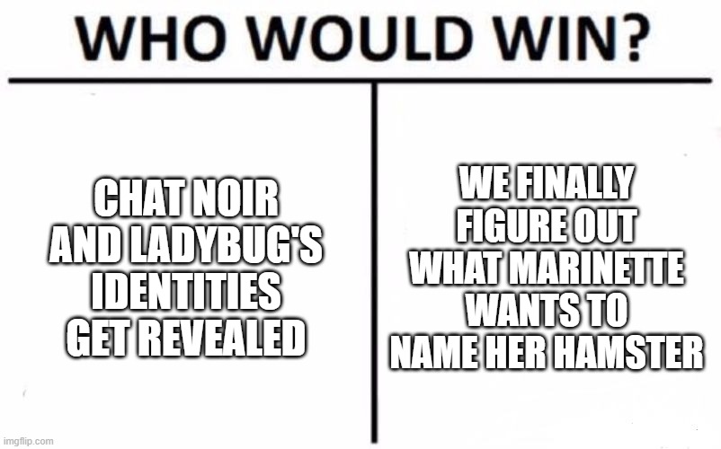 What do YOU think? |  CHAT NOIR AND LADYBUG'S IDENTITIES GET REVEALED; WE FINALLY FIGURE OUT WHAT MARINETTE WANTS TO NAME HER HAMSTER | image tagged in memes,who would win,mlb,miraculous ladybug,miraculous,ladybug | made w/ Imgflip meme maker
