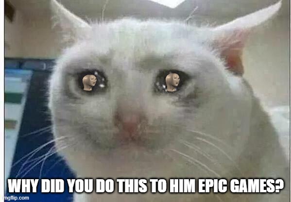 crying cat |  WHY DID YOU DO THIS TO HIM EPIC GAMES? | image tagged in crying cat,meme man | made w/ Imgflip meme maker