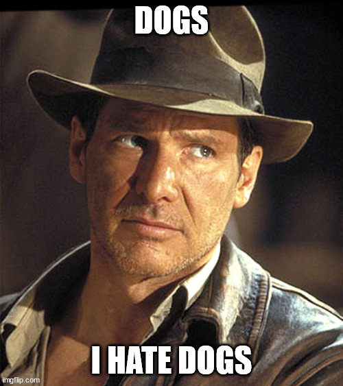 Indiana jones | DOGS; I HATE DOGS | image tagged in indiana jones | made w/ Imgflip meme maker