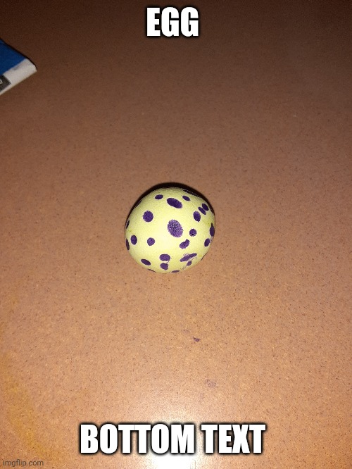 EGG; BOTTOM TEXT | made w/ Imgflip meme maker