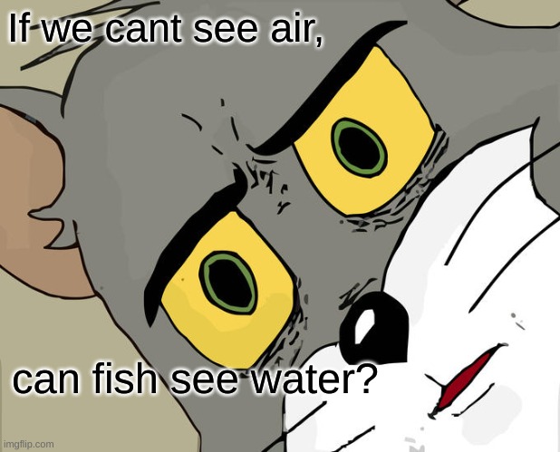 Unsettled Tom Meme | If we cant see air, can fish see water? | image tagged in memes,unsettled tom | made w/ Imgflip meme maker