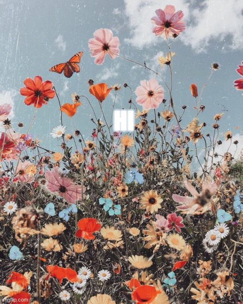 HI | made w/ Imgflip meme maker